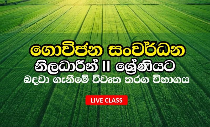 course-banner